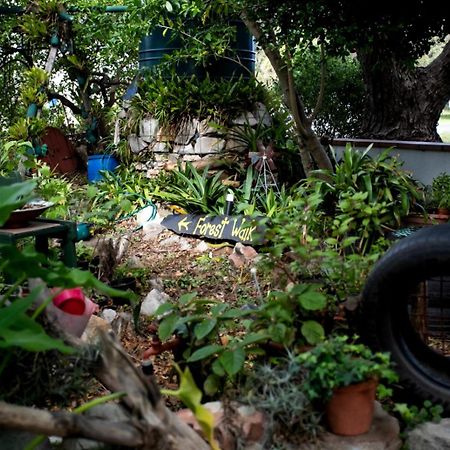 Zoete Inval Vandrarhem Hermanus Exteriör bild